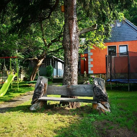Ferienhaus Franz - An Der Elbe, Mit Grossem Garten Pirna Extérieur photo
