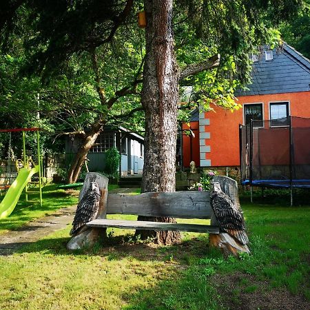 Villa Ferienhaus Franz - An Der Elbe, Mit Grossem Garten à Pirna Extérieur photo