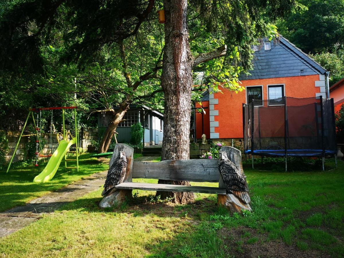 Ferienhaus Franz - An Der Elbe, Mit Grossem Garten Pirna Extérieur photo