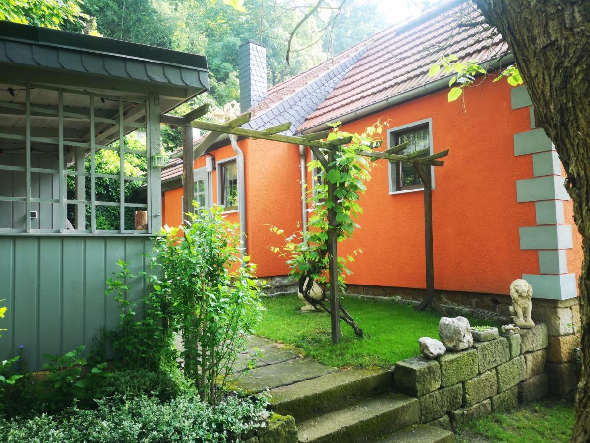 Ferienhaus Franz - An Der Elbe, Mit Grossem Garten Pirna Extérieur photo