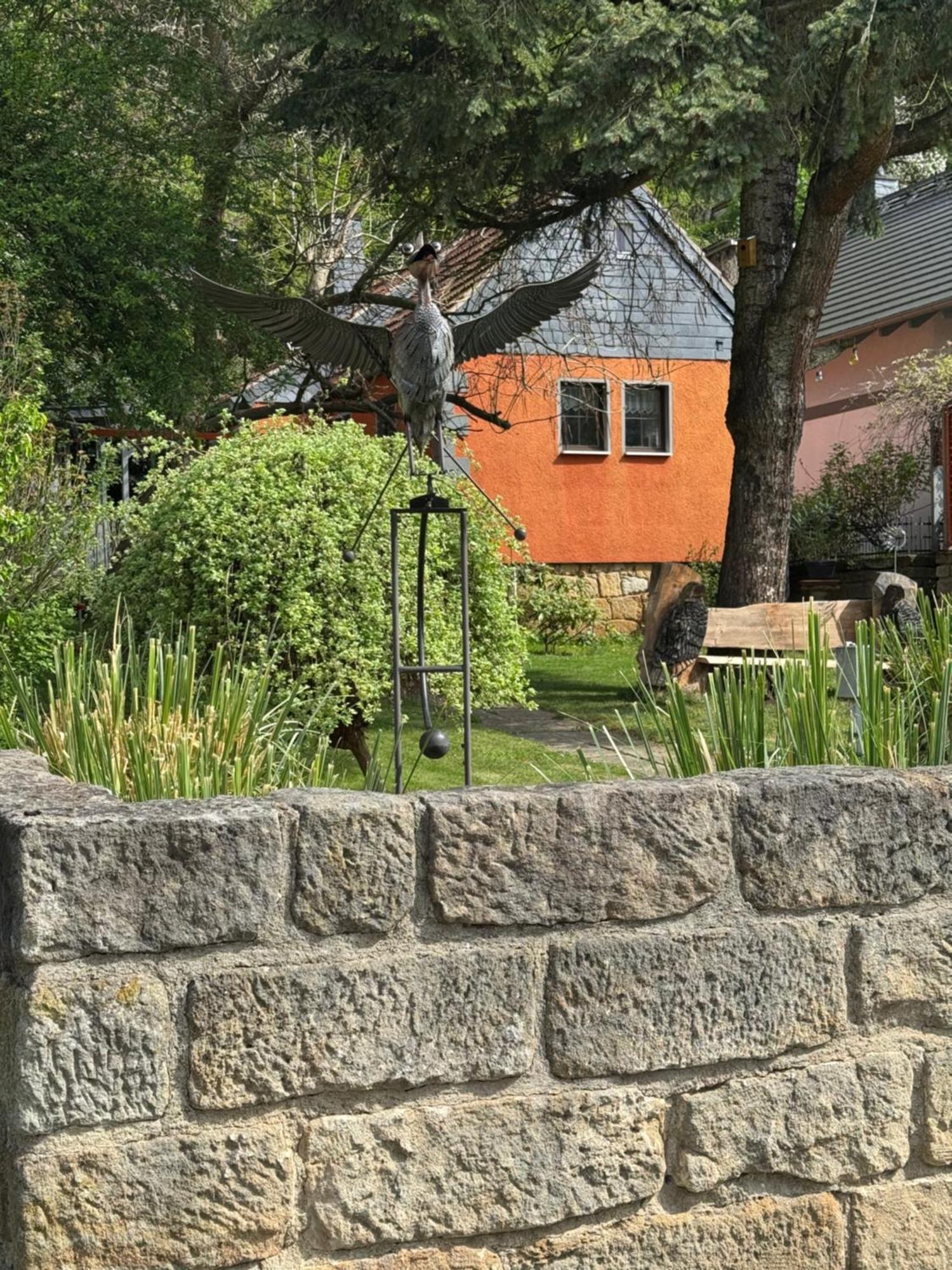 Ferienhaus Franz - An Der Elbe, Mit Grossem Garten Pirna Extérieur photo