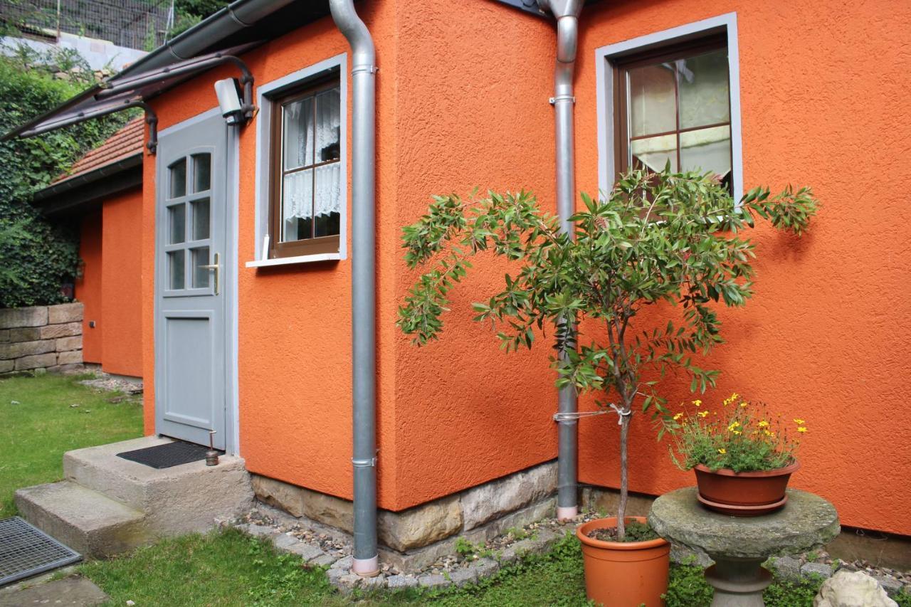 Ferienhaus Franz - An Der Elbe, Mit Grossem Garten Pirna Extérieur photo
