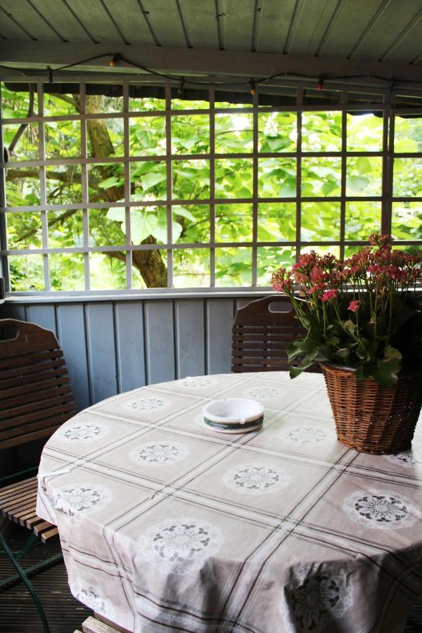 Ferienhaus Franz - An Der Elbe, Mit Grossem Garten Pirna Extérieur photo